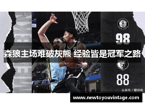 森狼主场难破灰熊 经验皆是冠军之路